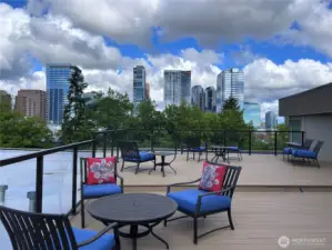 Wonderful Rooftop Deck!