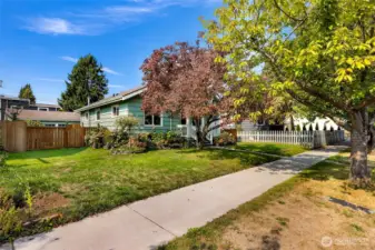 Dry location with flowering Dogwood and Cherry Trees