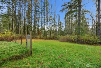 Private and secluded. Such a large area for your imagination.