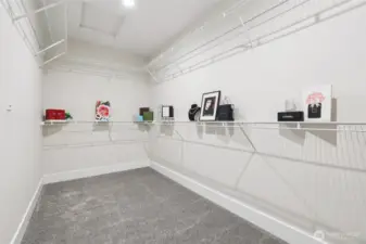 Closet is big enough to go shopping every weekend