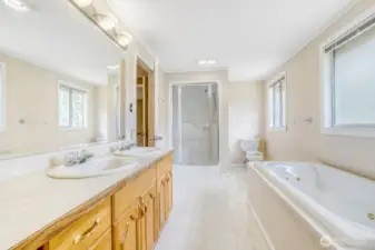 Primary bath with jetted tub
