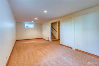 Bonus room located in the daylight basement. We have seen this space used as a guest bedroom, game room, theatre, office, studio. What will you do in this space??