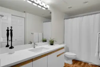 Bathroom with new quartz countertops, new sink & faucet & new lighting.