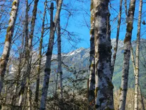 Mt Higgins to the North