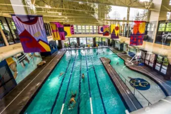 A 40,000+ sq ft clubhouse with fitness center, pool, spa & classes?. The pool, oh wow!