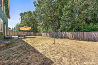 Privacy with trees lining the backyard.