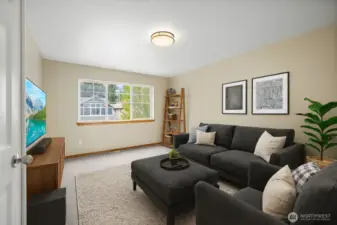 Virtually Staged Entertainment Space
