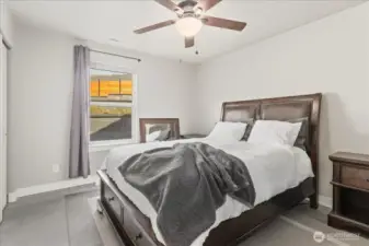 Downstairs bedroom