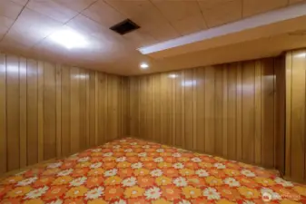 Surprise! The basement holds this room ready for FUN...