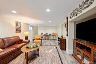 Downstairs great room