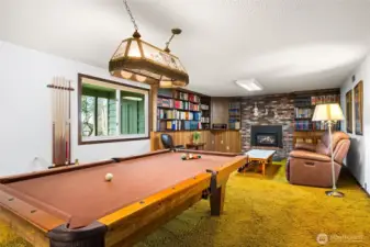 Lower level party room