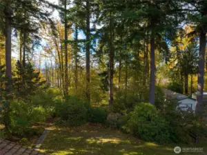 Additional 134 X 76' lot