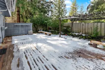 Back deck and patio space.