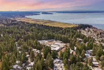 Close to Chambers Bay and all it has to offer.