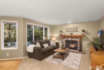 Family with Double Pane Windows & Woodburning Fireplace