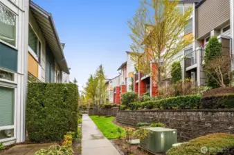 Super well maintained community with strong HOA.
