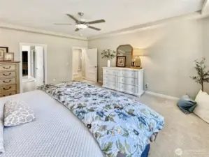 Another primary view shows access to luxury bath.