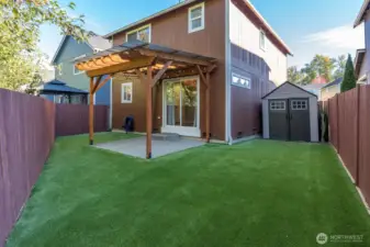 Turf and Covered Patio