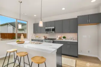 Pics are of another Alder plan, colors and finishes may vary. See Site Agent for details.