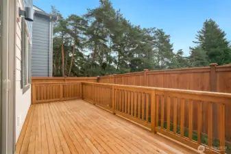 Outdoor patio, much more livable outdoor space! (Pic of another alder plan, lot sizes may vary. See Site Agent for details.)