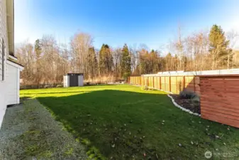 Large grassy backyard with composite storage shed and landscaped borders along the fence line.