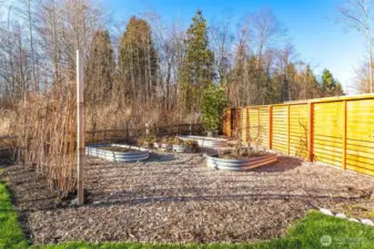 Fresh cedar fencing frames the yard while raised beds provide space for gardening and planting. Raspberries and strawberries are among the juicy harvest.