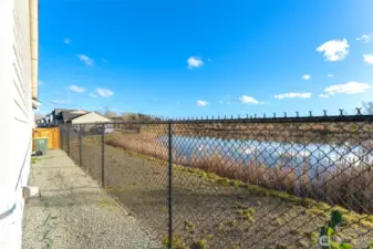 Side yard pathway running alongside the pond area, offering open views and natural light.