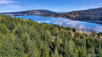 Aerial view of surrounding trees and Lake Whatcom