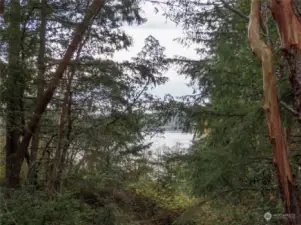 view from street.  Beautiful madronas, tall firs and cedars are spaced perfectly.  Clear the under-growth for exceptional views.