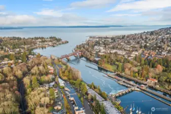 Ballard Locks just north of unit within walking distance