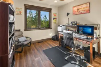 Downstairs quiet office is perfect for working from home.
