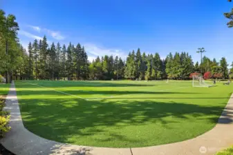 Sports Fields