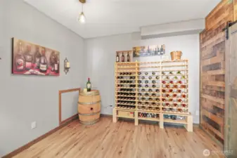 Wine Cellar with large storage closet.