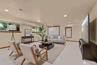 Your lower level living space
