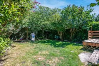The yard always has something in bloom! Butterfly bush, cherry blossom, lilacs, peonies, tulips, hydrangeas. It’s a real gardeners yard.