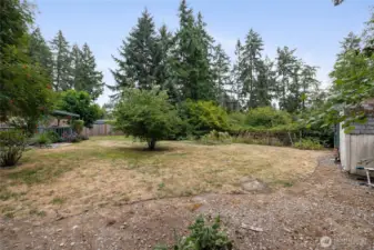Private back yard.