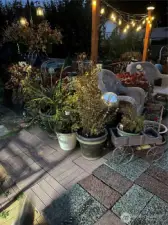 pic of out doors at night