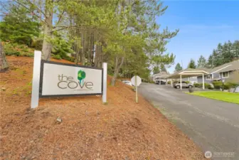 Welcome to the Cove Condominiums