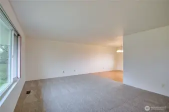 New Carpet througout