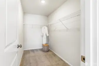 Oversized Primary Closet