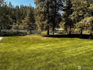 Beautiful grassy backyard/common area.