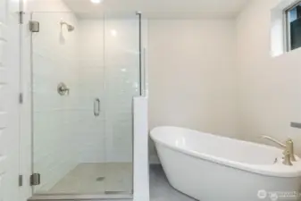primary soaking tub and walkin shower