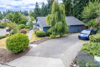 Lots of parking available off the street.