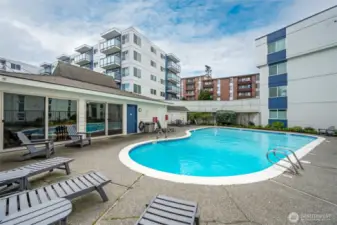 Pool is ready for our great Seattle Summers!