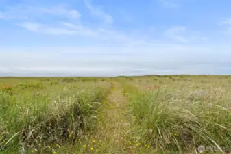 Dunes