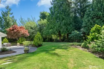 Large grassy area and fully fenced backyard.