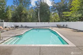 Morning laps? Reading, poolside?
