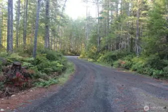 Looking down NE D & J Trl towards paved road NE Tahuya Blacksmith Rd,  Property on the right in this picture is the larger section and on the left is a small section.