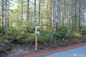 Smaller piece with sign for NE D and J Trl Road