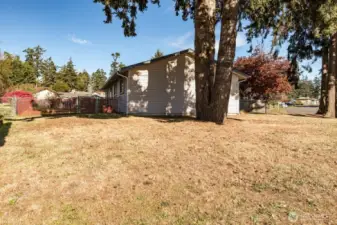 View from Illahee looking toward backyard.